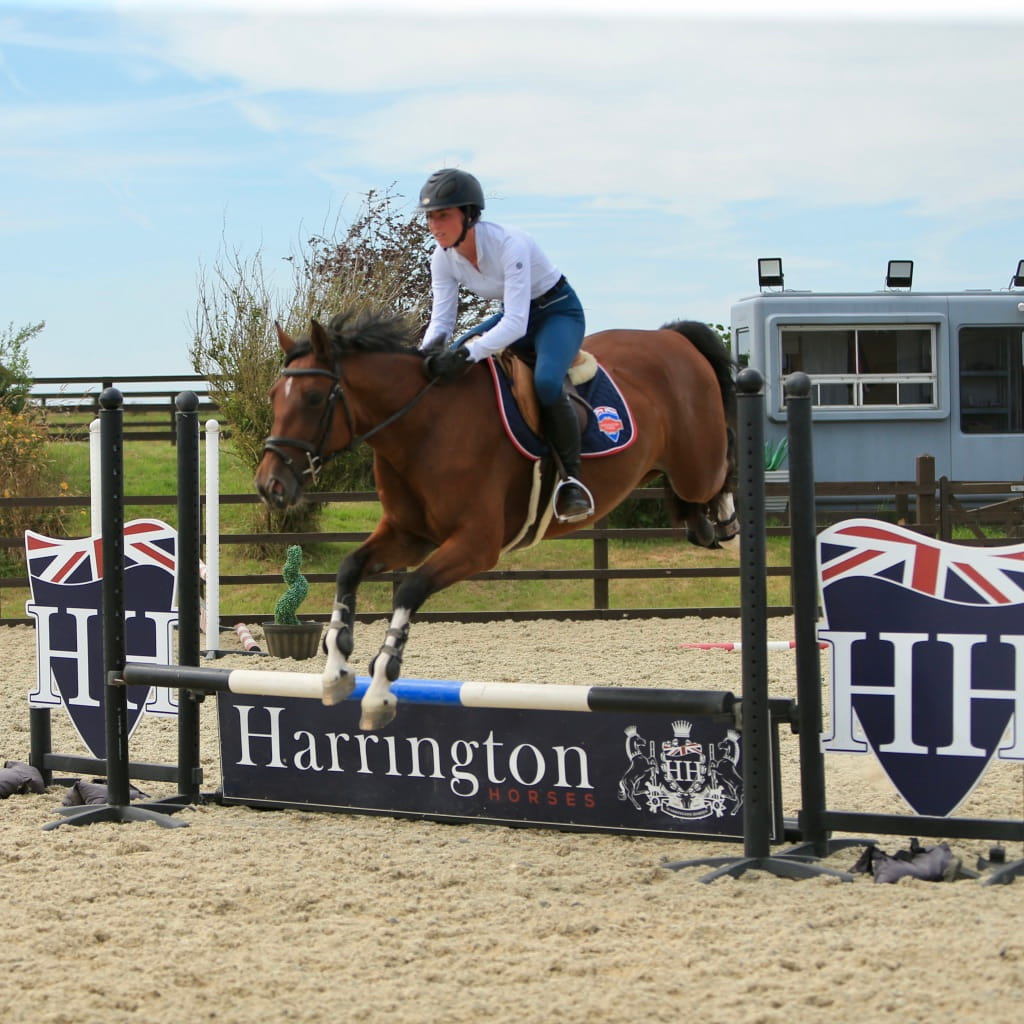 Harrington Image