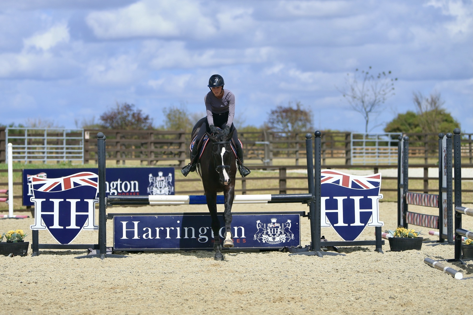 Harrington Image