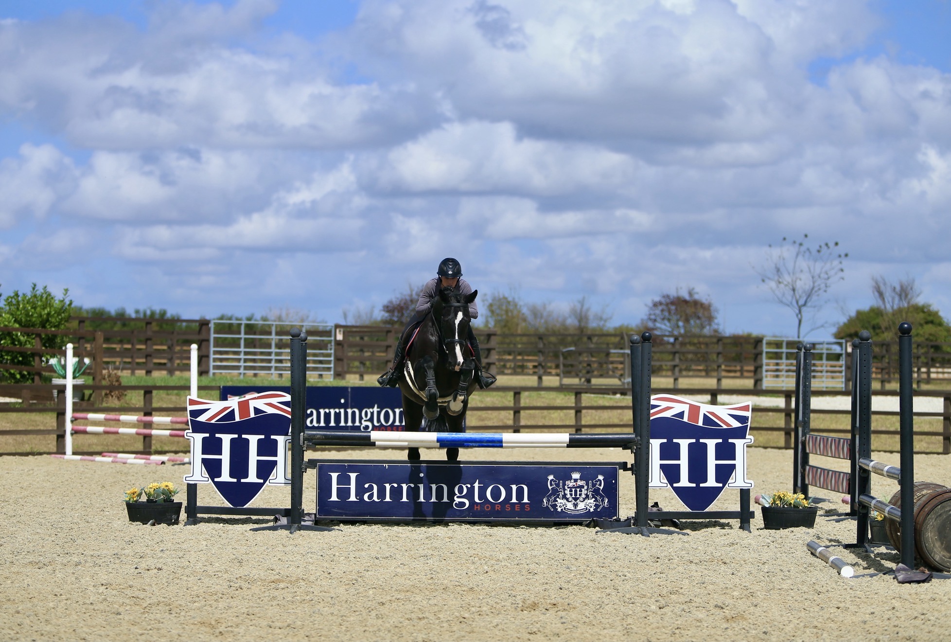 Harrington Image