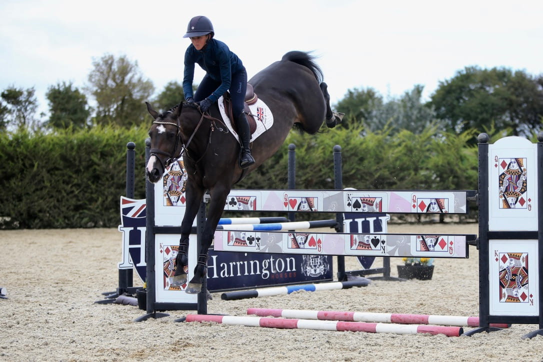 Harrington Image